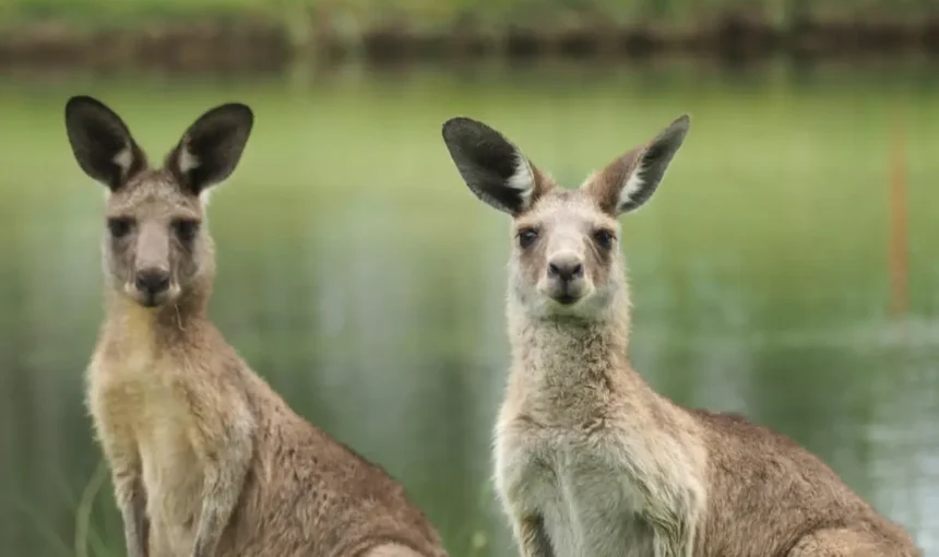 Essential Tips for Planning a Smooth and Stress-Free Trip